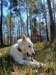 686739e7-dcf2-481a-a202-5904bd6f5bd8