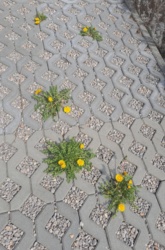 d33741f7-49c0-48ad-b4ca-09652292c0a8