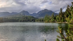 2f33c5eb-8b60-473a-b9a5-cfd2627107ae