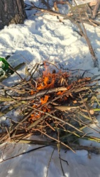 88d25572-a03c-4235-ab55-af7580610925