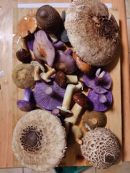 03fbce80-ee15-4a79-9185-4ef19e1ea242