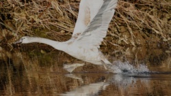 88785b87-f4e1-4ba8-b2eb-0e237d18be88