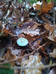 e0e4cd2d-1772-47d0-9226-b6ef385b6749