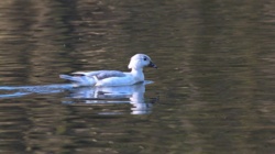 8d63140b-853c-4108-8564-fccc2245384e