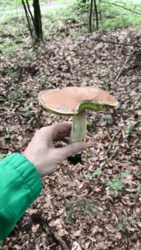 86ea7675-bada-4332-825d-7897f2ef2f7e