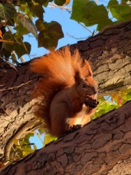 bf2ee242-1990-4595-9a9b-eaaf4bccc55e