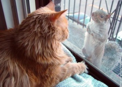 8fd74731-96a7-4a91-8d47-5fe5775f0d33