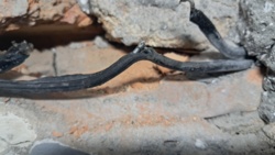 9cbd801d-3841-425d-8f73-a58724c65342