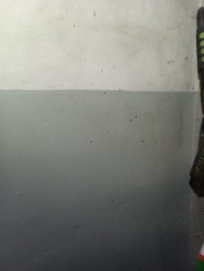 1d5dd6f0-58ee-4e36-a01f-cc6535aced44