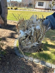 608bb954-5d5e-4e61-967e-901a8ba14a03