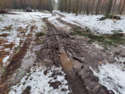 f572a318-49ca-4493-8245-a732960fcf1e