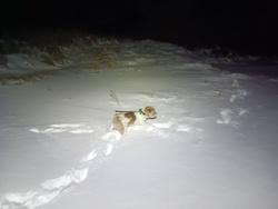 fb6b8319-d068-4f61-89c9-8227dd81f3bf