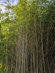 e7d257b4-440a-450e-ad9b-8ddb2aba1232