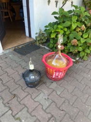 c3b30d78-c369-4ea6-841c-b7d5c18e0684