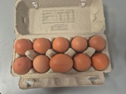 Salmonella w natarciu. KOKO Jaja z chowu ściółkowego, klasa A, średnie M z oznaczeniem 2PL02181302 K-2