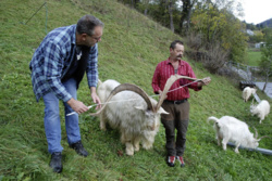 88d622fa-e425-450f-84e8-6e36df636d33