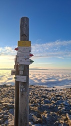 aefa7f96-a6b8-42e8-8786-1e833a7ff9e4