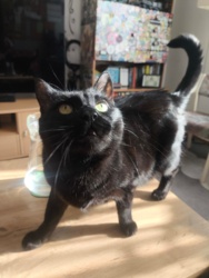 5a02f7c1-596a-4c90-86d2-fdad2f24e7bd