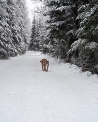 eb27ade2-9d70-466c-ae59-c0dbc3e2827f