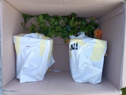 ebe047a2-9a14-4b68-b520-15dc7bc99077