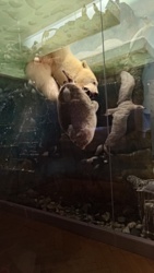 b90cab20-8be5-47c0-9f66-8fb54aa9759d