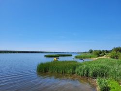 de300349-b9dc-4919-9595-c7cf048d0856