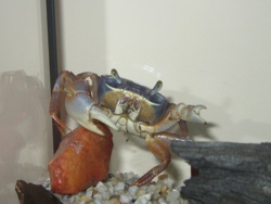 39f47707-724a-45a5-a990-065a0bc97c38