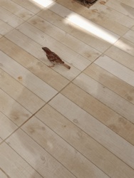 9ca97d48-388b-4cae-905a-5ec7df87e369