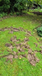 60c9d503-174e-44e4-bdf1-9ba5aa574fa1