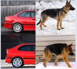 8818717e-127c-4140-beac-cbf1740406f8