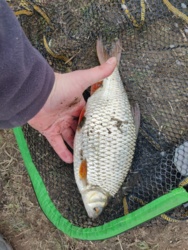 b4c4cbb5-9069-4665-943d-d73518da73c1