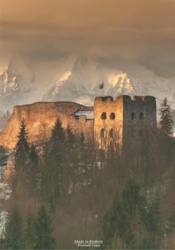 11342b98-a694-408a-ae68-3825d767a3f8