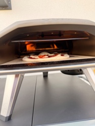 513f6381-6022-490a-9cfc-beed618c5638