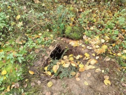 Kolejny podkop na polsko-białoruskiej granicy