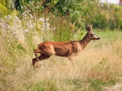 e339f101-512b-4c4f-aa9f-db85f629459d