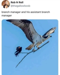 e587d756-c6b4-40e9-aaaa-c592a65713ed