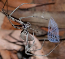 5114ef0d-8beb-4689-88b5-5e6b8d6fcc4b