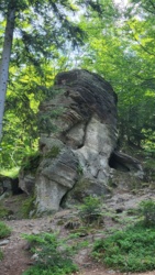 34b56f42-64fd-434c-a55a-e1de0e5404a1