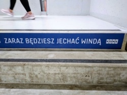 63d30041-8e88-4bc8-bec8-4ec886ed6414