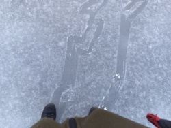 0c947ca9-4c3b-4ac9-9a66-19e7fb1f4358