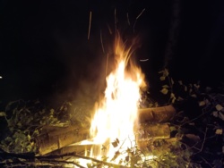 3beb34b9-29d8-4520-8692-f61c669b973b