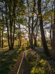 01d9e08e-5157-40ff-af74-f4d257676c4a