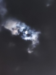 9ad1137a-1ece-4b21-a748-ad452cdf1744