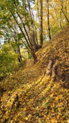 39b97df9-0923-4e40-921a-d1f9ab02556e