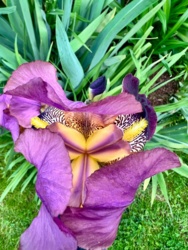 53f1763e-c337-4333-b77d-8645761ea5c5