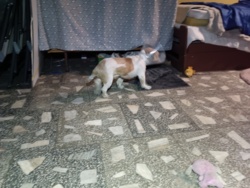 b2cda803-0d23-469c-b971-76ea7ebcdcee