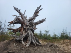 d197538c-e5ff-4544-a3a0-2af59a985bb8