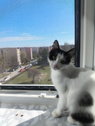 151231fe-fc74-458f-a51a-5f316ef6951d