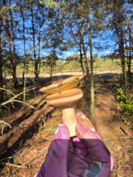 288282e1-2495-456c-91a8-55233a0c573b