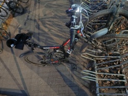 9c4e7cbb-d242-4ffa-bd9a-da06a8be7273